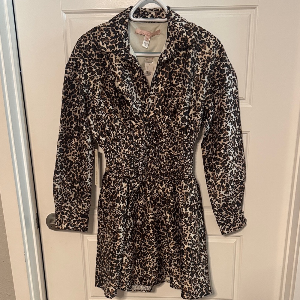Leopard Print Long Sleeve Dress